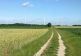01072012012 - Kopie - Kopie.jpg