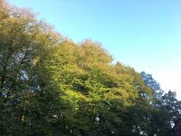 Sonne.jpg