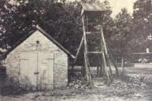 image-2.jpeg